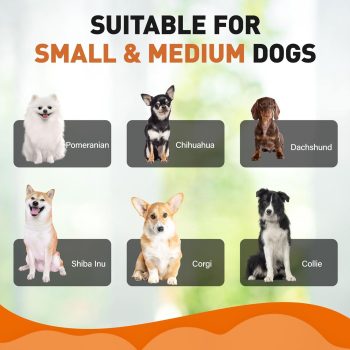 cloud shaped dog cat bed 4964