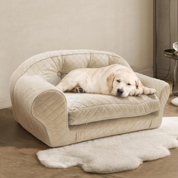 comfortable pet couch bed 5872