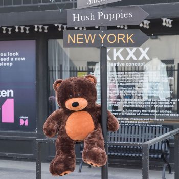 daney teddy bear 3foot dark brown 5145