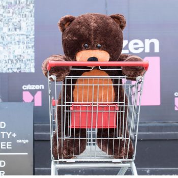 daney teddy bear 3foot dark brown 5146