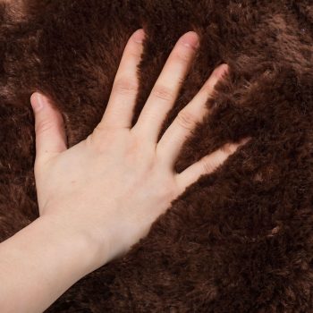 daney teddy bear 3foot dark brown 5151
