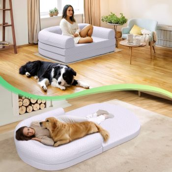 human dog bed 5722