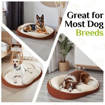 orthopedic bed for large dogs 4915