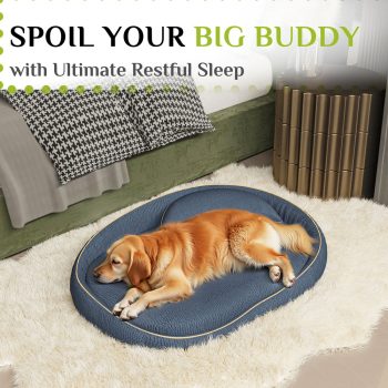 orthopedic bed for large dogs 4919