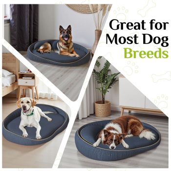 orthopedic bed for large dogs 4920