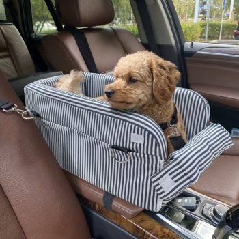 portable small pet car seat 5754