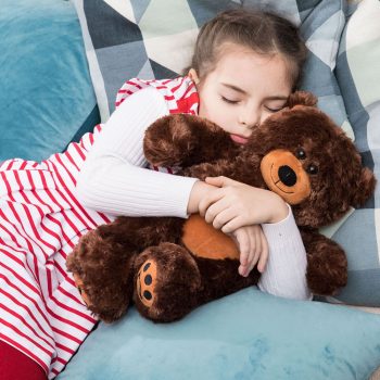 teddy bear 25 dark brown 5173