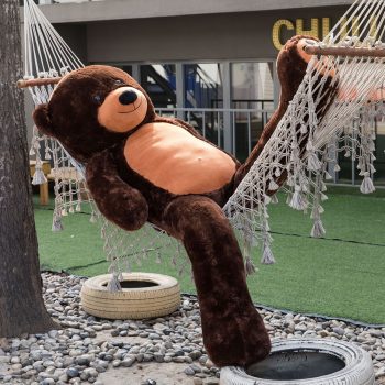 teddy bear 6foot dark brown 5129