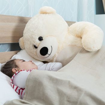 big soft teddy bear 6110