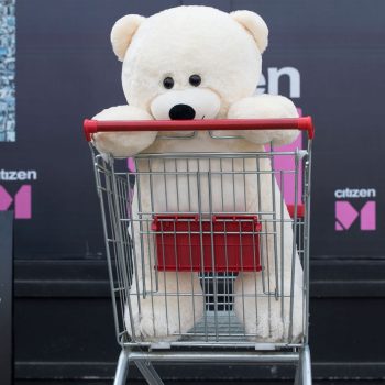 big soft teddy bear 6113