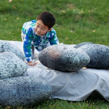 realistic stone design pillow 6236