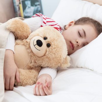 small brown teddy bear 6213