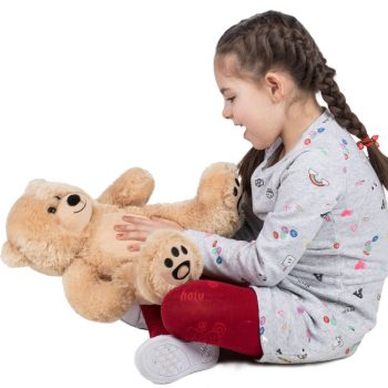 small brown teddy bear 6217