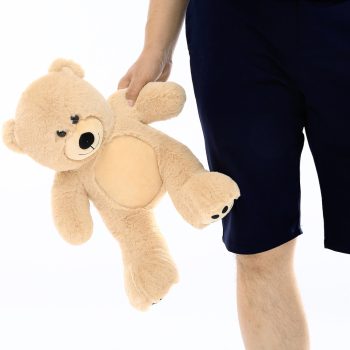 small brown teddy bear 6218