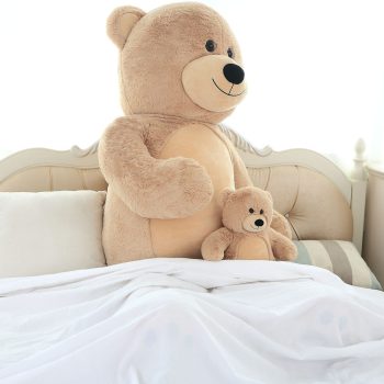small brown teddy bear 6222
