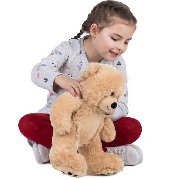 small brown teddy bear 6226