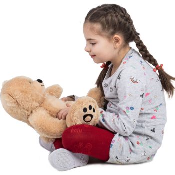 small brown teddy bear 6227