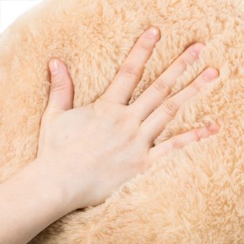 small brown teddy bear 6232