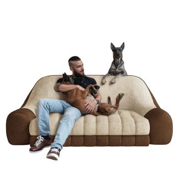 Comfy Floor Sofa Couch, Pet Friendly Modern Furniture for Families